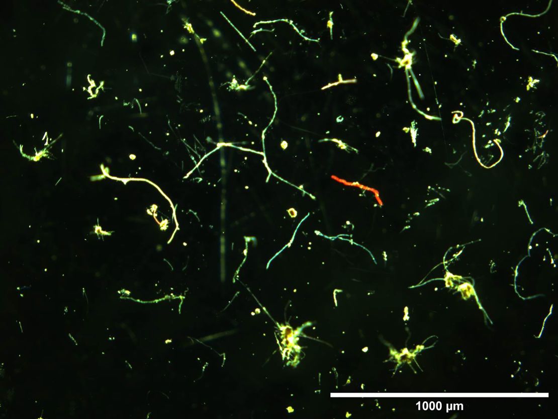 A collection of microfibers discovered by scientists.