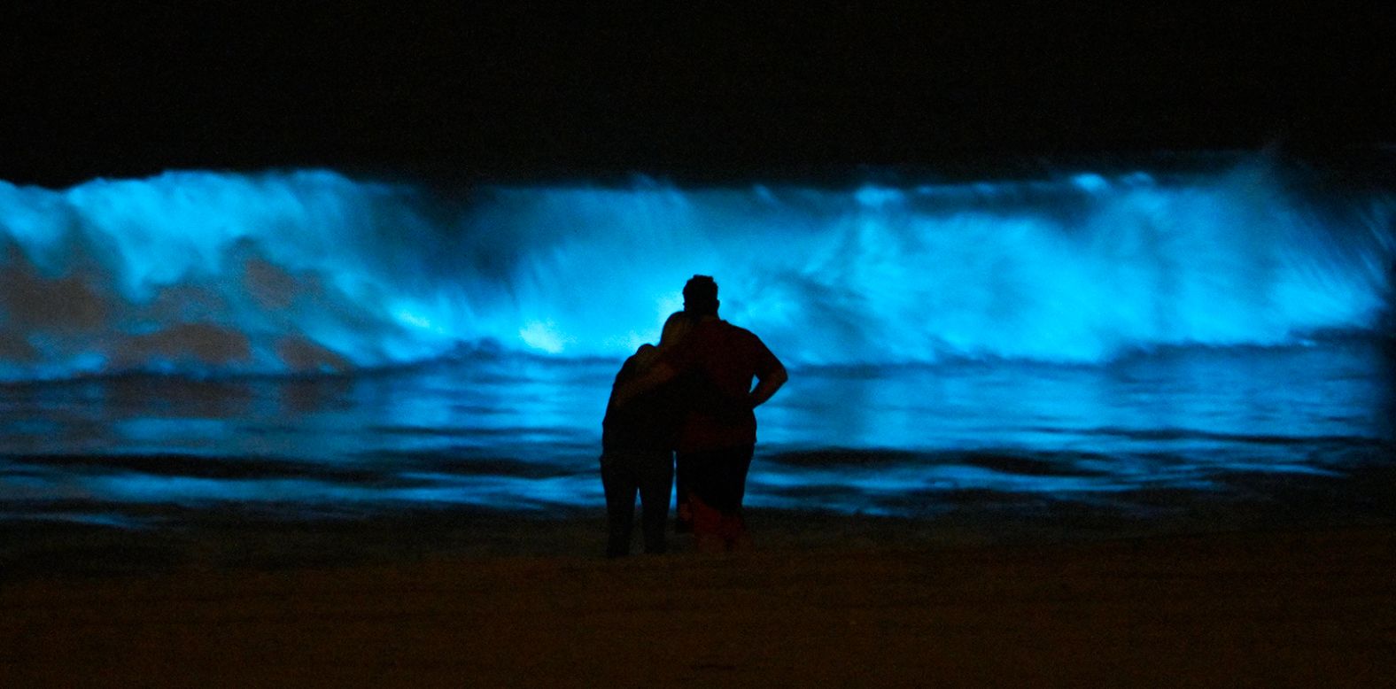 People in Los Angeles watch bioluminescent plankton light up the shoreline at Dockweiler Beach on Wednesday, April 29. <a href="http://www.cnn.com/2020/04/23/world/gallery/week-in-photos-0424/index.html" target="_blank">See last week in 40 photos</a>