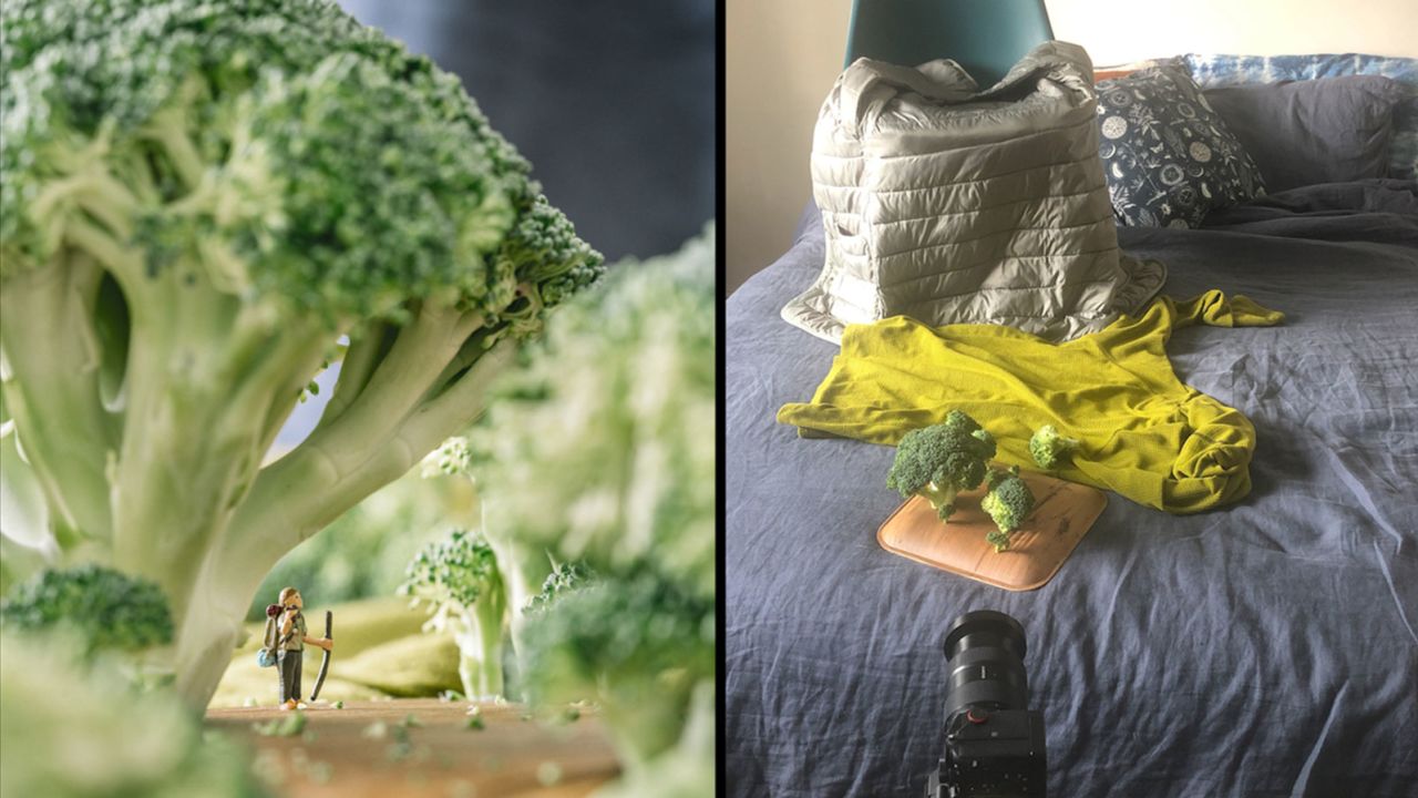 A broccoli forest -- artwork that's healthy!