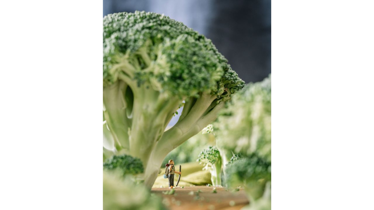 <strong>"Broccoli Forest": </strong>Sullivan used broccoli, a bamboo plate, a sweatshirt and a pillowcase to construct this "enchanted" forest.