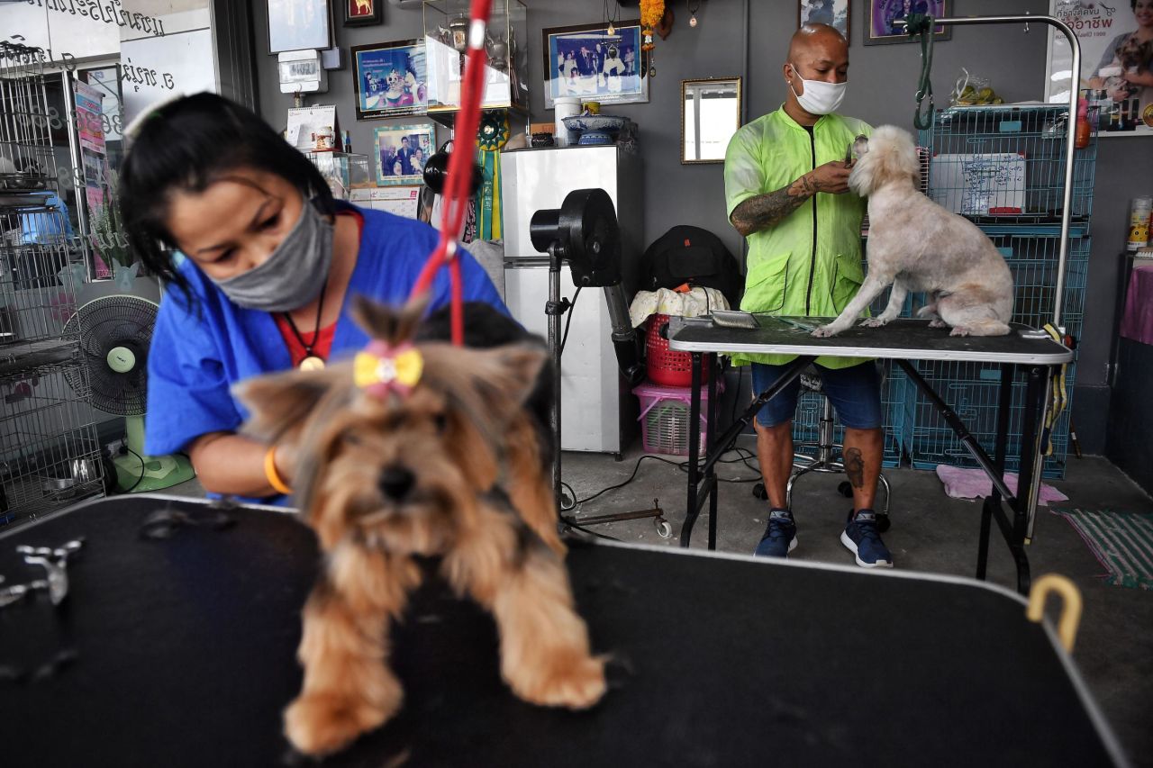 Pet groomers wear face masks as they tend to dogs in Bangkok, Thailand, on May 3. The business was reopened as the Thai government eased measures that aimed to combat the spread of Covid-19.