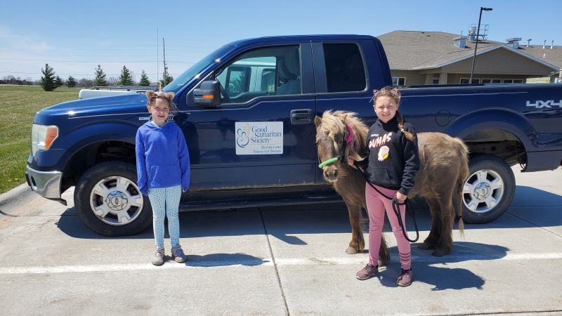 Pony visits bring cheer to isolated nursing home residents CNN