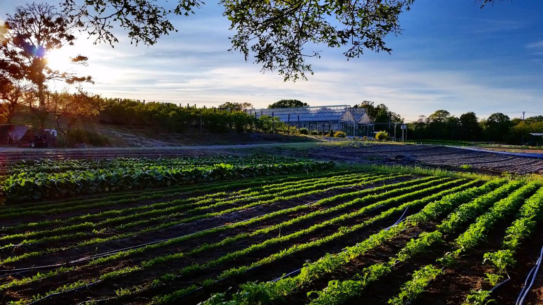 The 8-acre farm at Chatham Bars Inn, located down the road in Brewster, Massachusetts, has repurposed itself as a market for the community. 