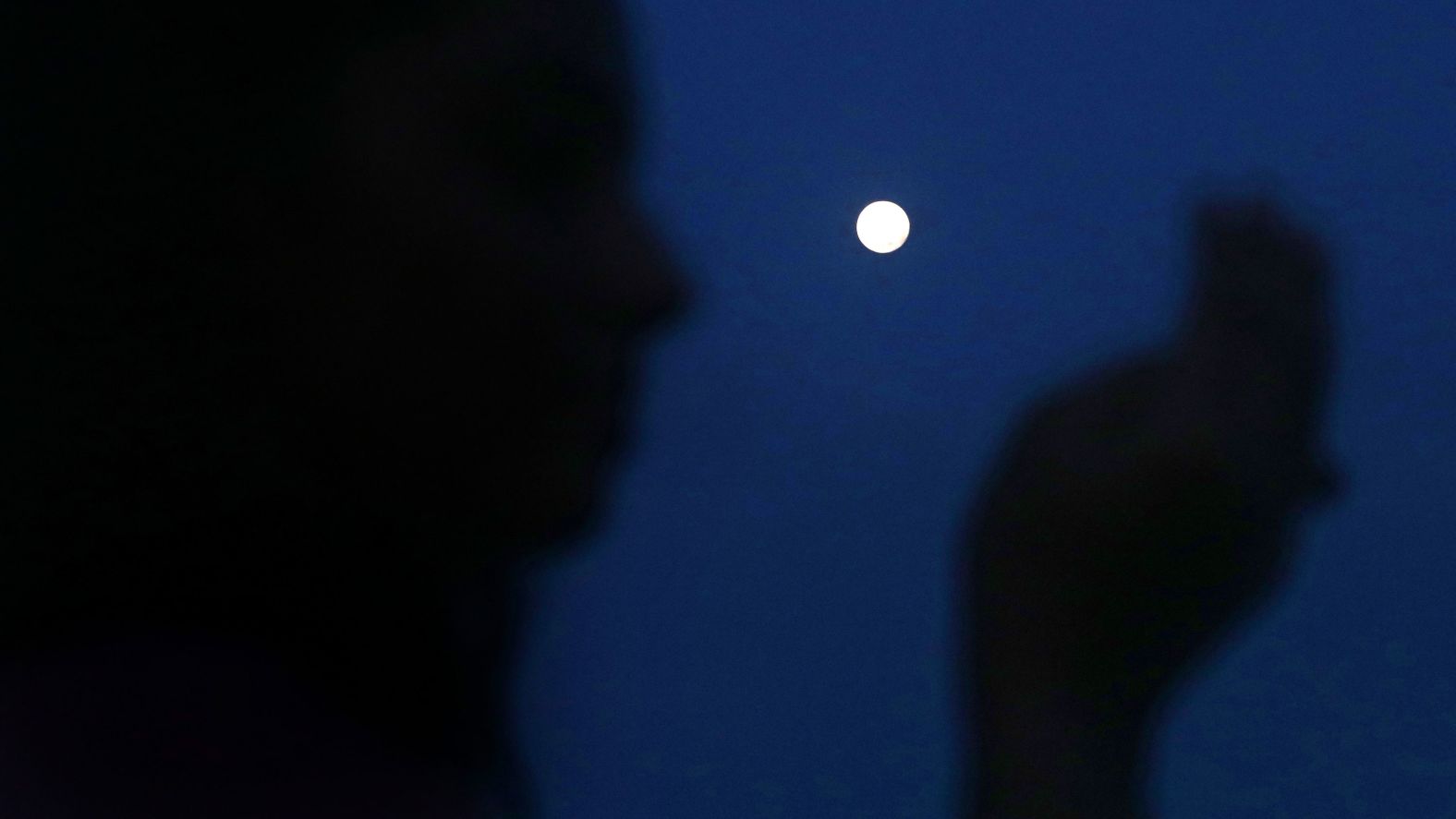 Muslim women, silhouetted in the foreground, pray on a rooftop in Kolkata, India, after breaking their Ramadan fast on May 6.