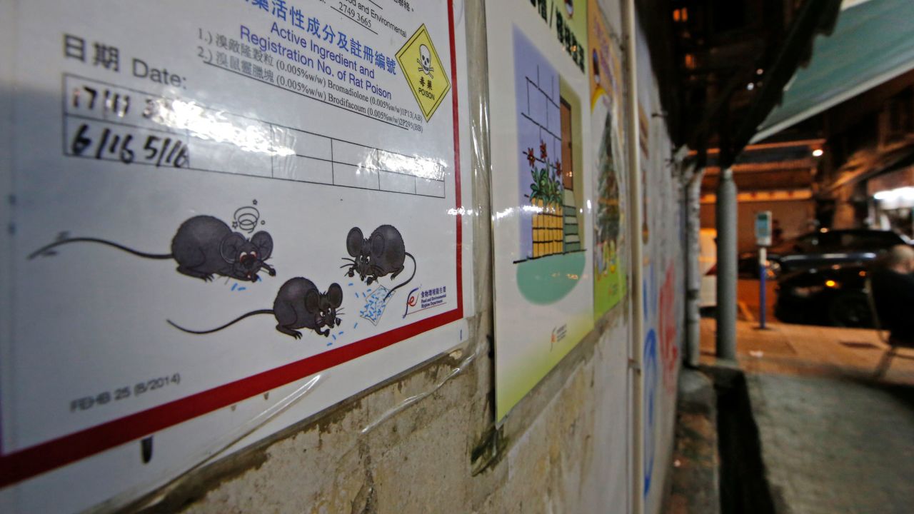 A notice of rat poison in an alley in Hong Kong in November 2018. 
