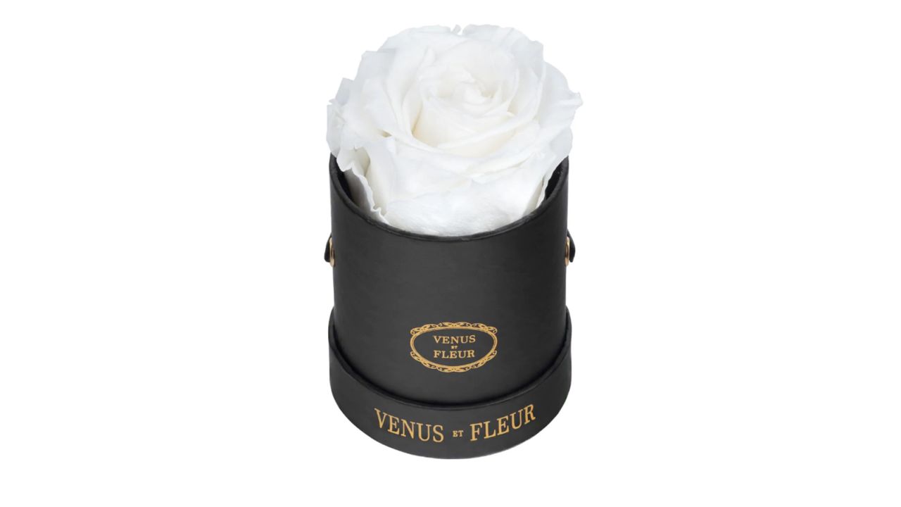 Venus ET Fleur Eternity Rose