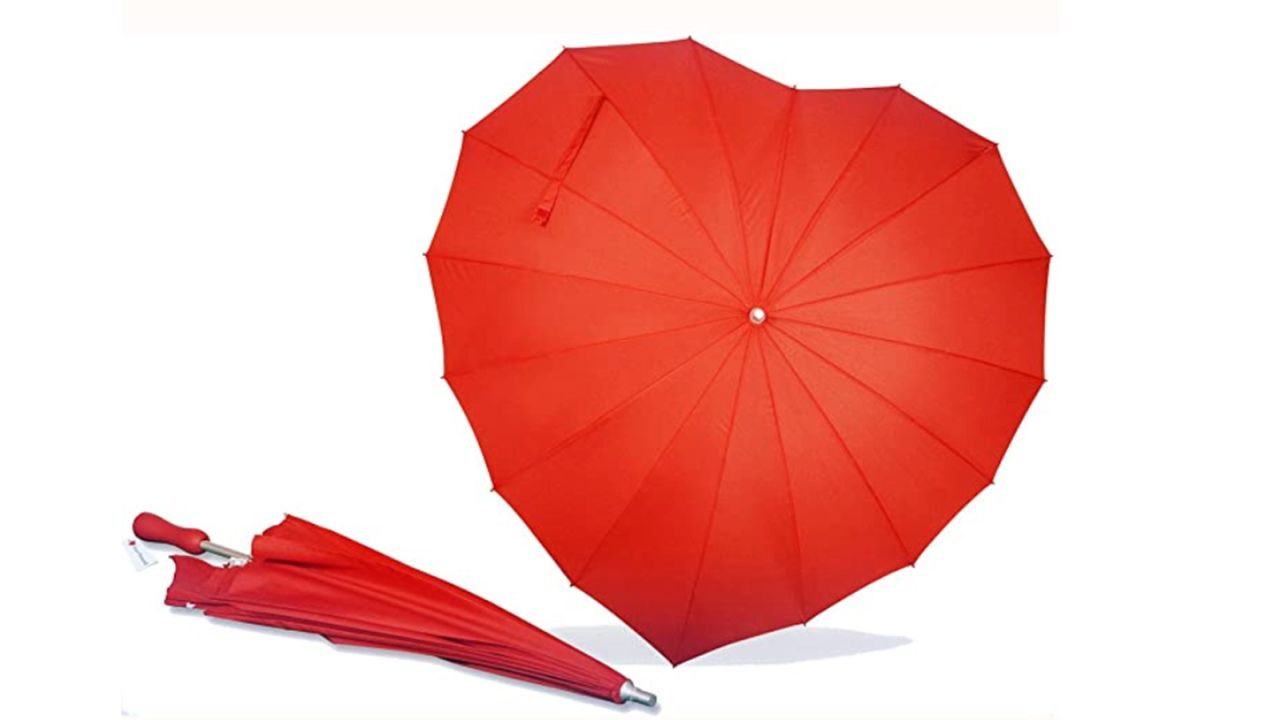 Heart Umbrella