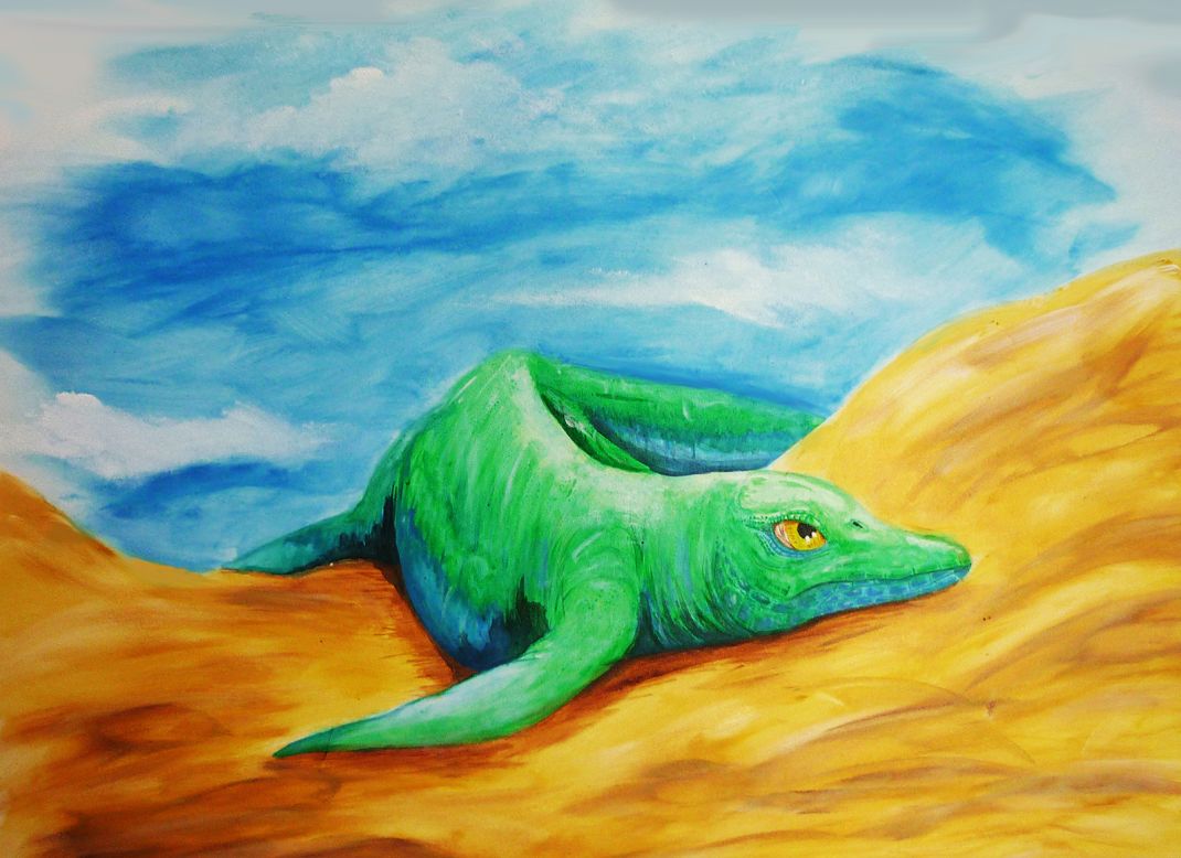 This artist's illustration shows what an early, small ichthyosaur that lived 248 million years ago may have looked like. It resembled a cross between a tadpole and a seal, grew to be one foot long and had pebble-like teeth that it likely used to eat invertebrates like snails and bivalves.