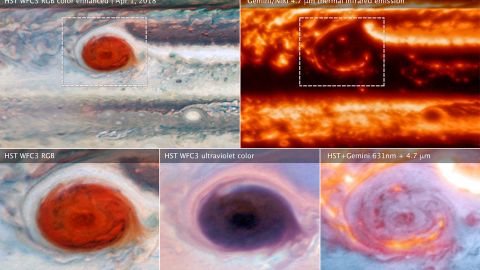 Different wavelength images of Jupiter's Great Red Spot reveal its secrets.