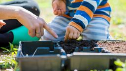 Small boy helping his mother do the planting of spring seeds with a closeup view on their hands over a tray of soil outdoors on the lawn in the garden.