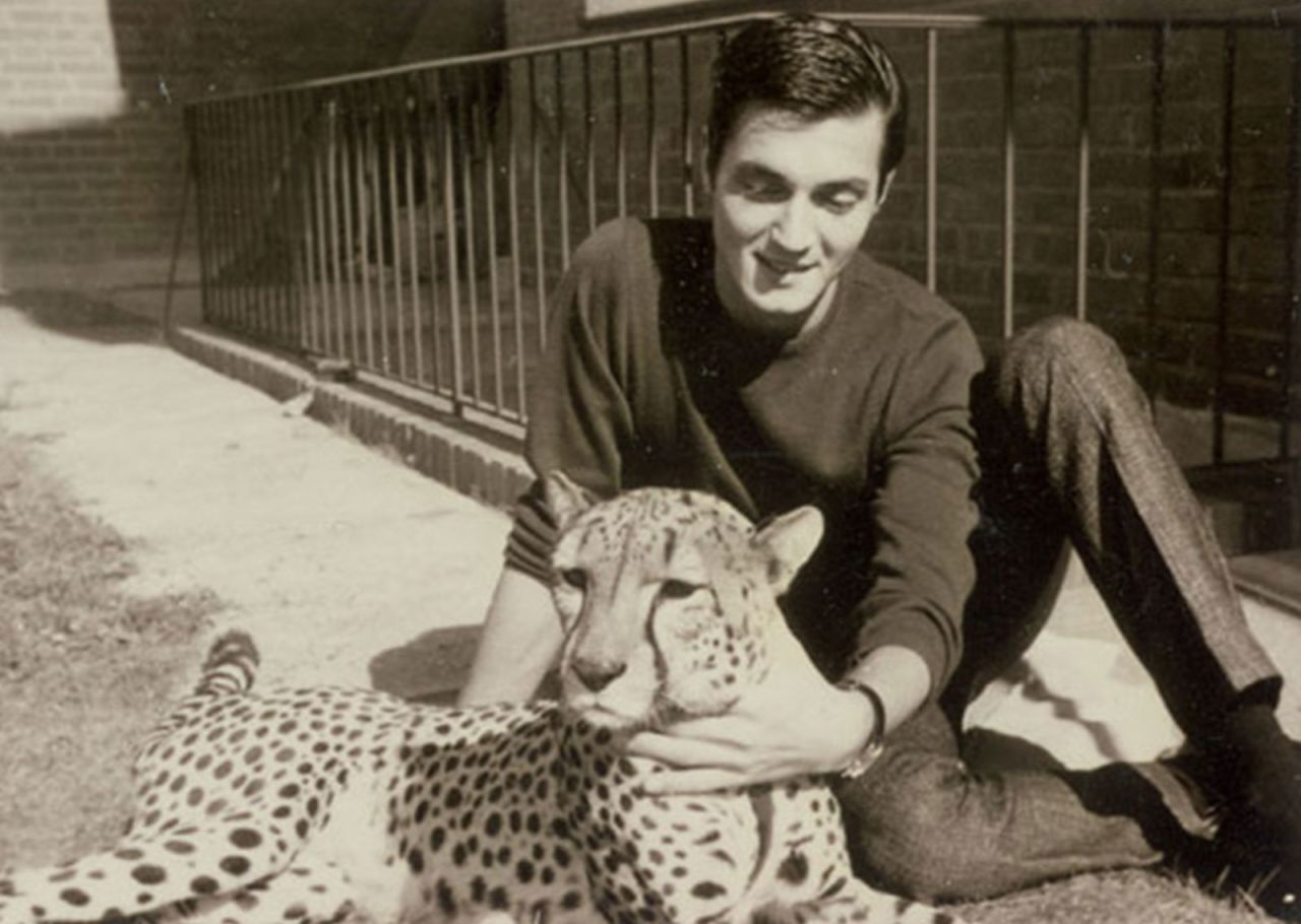 Horn's love for animals began when he was a child. As he grew older, his passion for animals extended to include the exotic. The cheetah with Horn here, Chico, became the first cat Siegfried & Roy would use in their act.