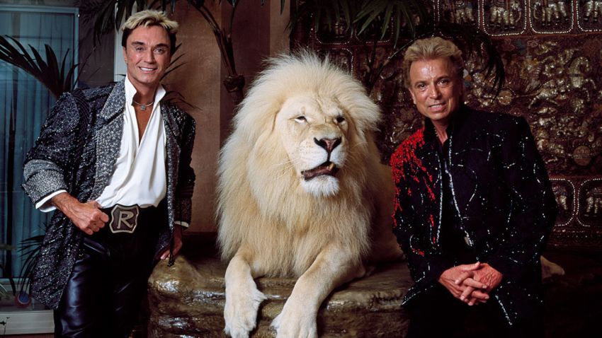 Las Vegas's headlining illusionists Siegfried & Roy (Siegried Fischbacher and Roy Horn) in their private apartment at the Mirage Hotel on the Vegas Strip, along with one of their performing white lions.  This was prior to the mauling of Roy, left, by a tiger in a show on October 3, 2003.  Roy survived severe wounds, and while the pair appeared together in limited venues, their spectacular sound, light, and illusionist show was finished.