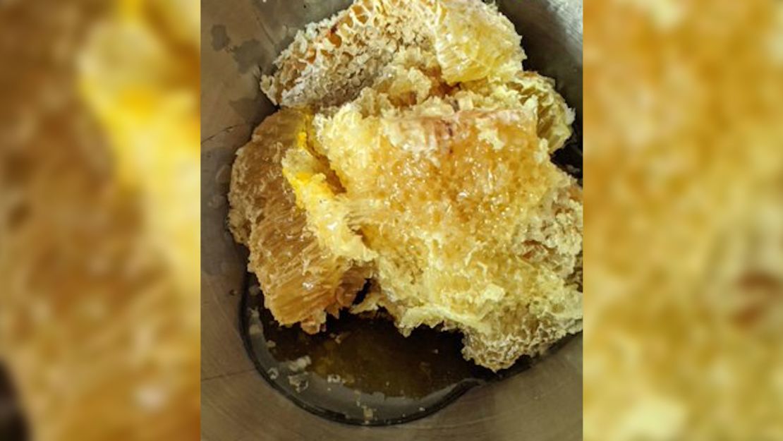 05 honey beehive removal