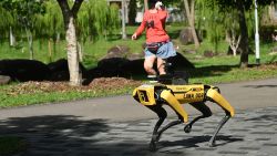 TOPSHOT - A woman jogs past a four-legged robot called Spot, which broadcasts a recorded message reminding people to observe safe distancing as a preventive measure against the spread of the COVID-19 novel coronavirus, during its two-week trial at the Bishan-Ang Moh Kio Park in Singapore on May 8, 2020. (Photo by Roslan Rahman/AFP/Getty Images)