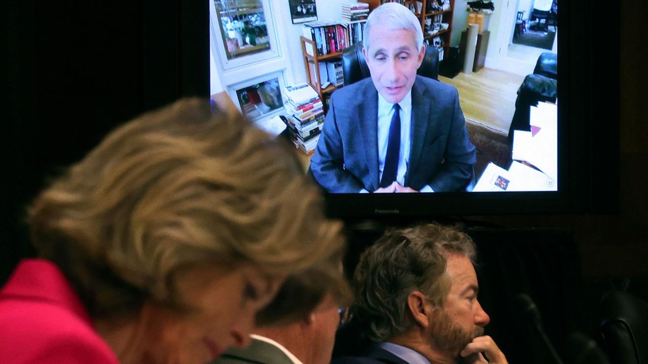 Senators listen as Dr. Anthony Fauci, director of the National Institute of Allergy and Infectious Diseases, speaks remotely during a virtual Senate Committee for Health, Education, Labor, and Pensions hearing, Tuesday, May 12, 2020 on Capitol Hill in Washington. Seated from left are Sen. Lisa Murkowski, R-Alaska, Sen. Mike Braun, R-Ind., center, and Sen. Rand Paul, R-Ky.