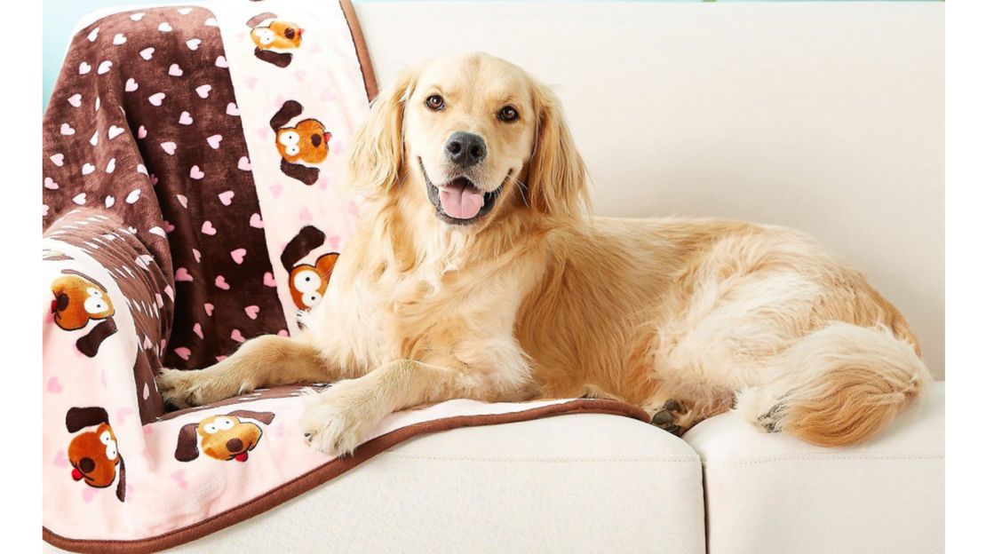 Smart Pet Love Heart Pattern Dog Blanket