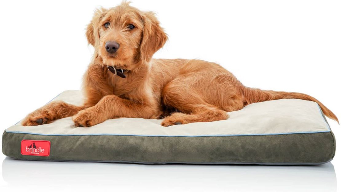 Brindle Soft Memory Foam Dog Bed with Removable Washable Cover