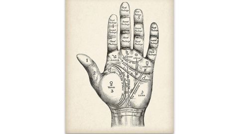 Vintage Palm Reading Chart