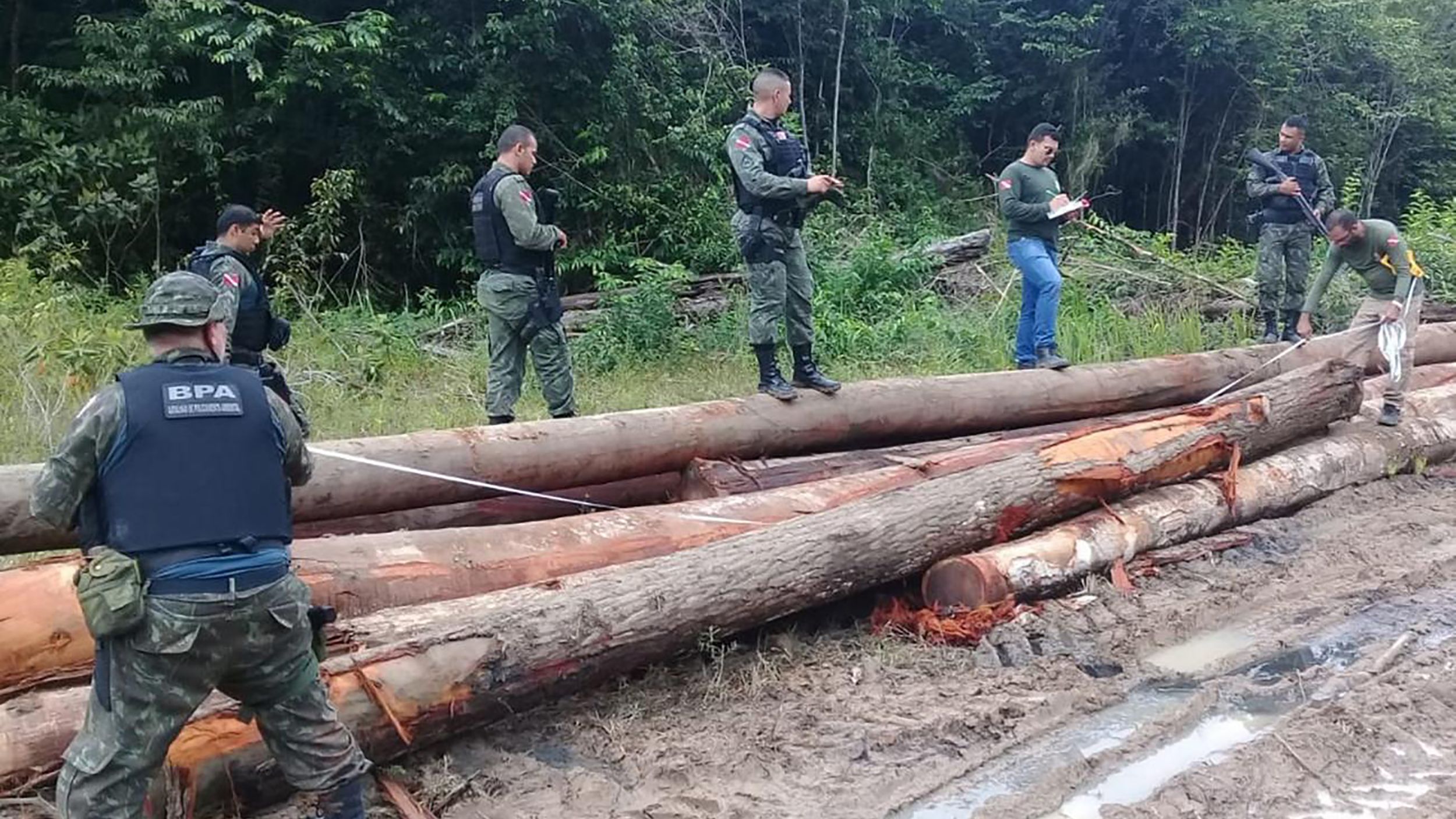 Wood illegally removed from a reserve in Para, Brazil on February 20, 2020.