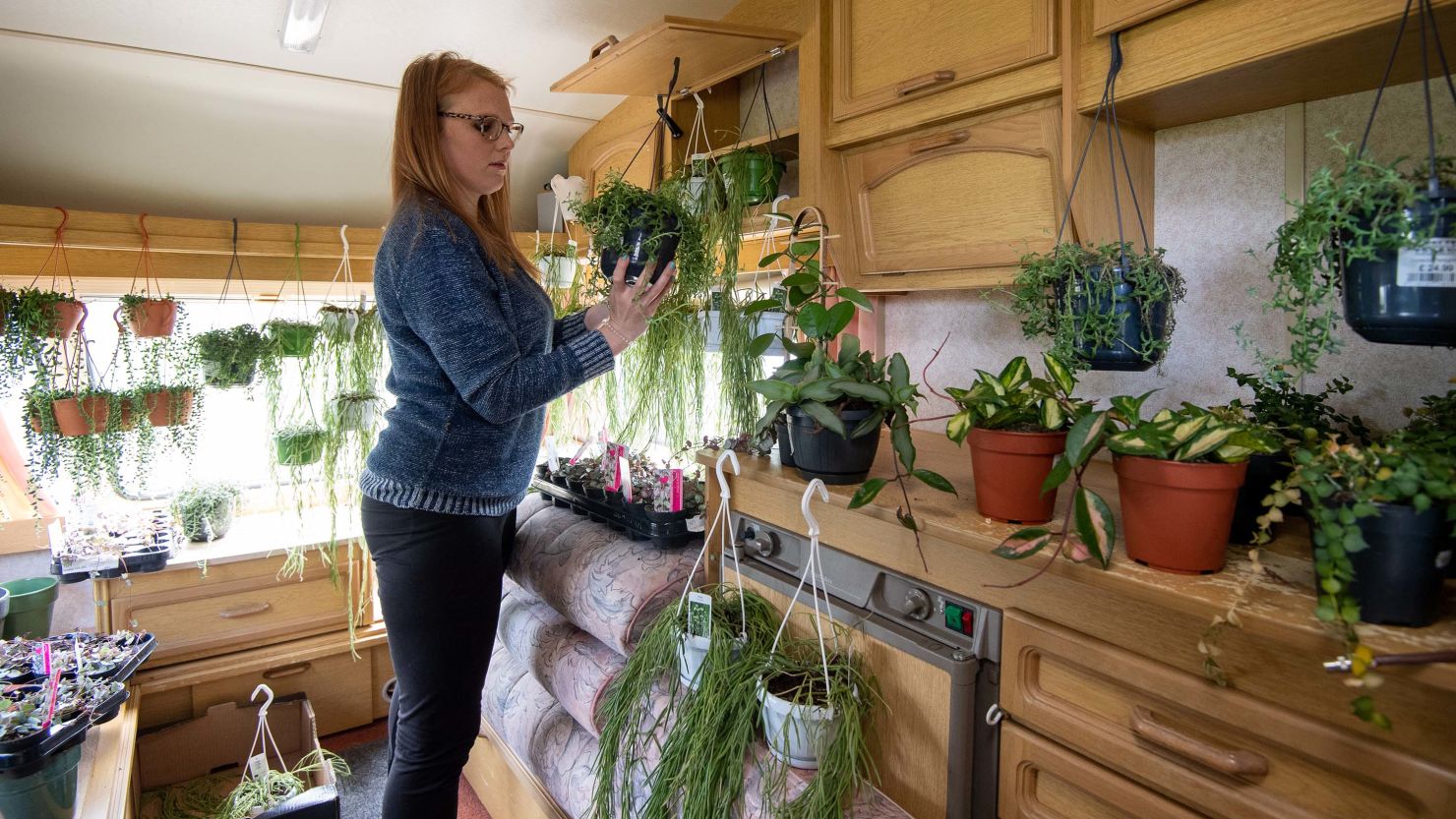 Kerri Notman has had to make space for 12,000 plants from her store so she can continue to fulfil online orders during the coronavirus pandemic.  