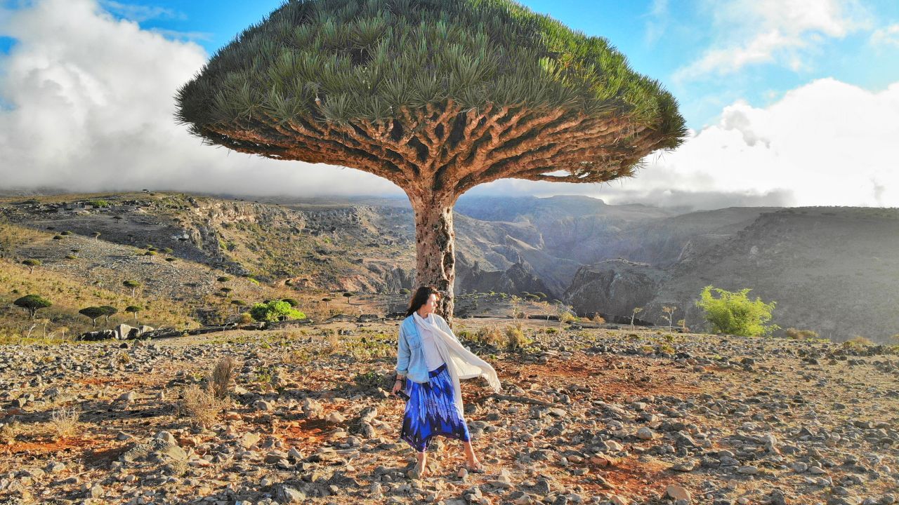 The island's southern region is known for its alien-like dragon blood trees, an endangered plant species endemic to Socotra.