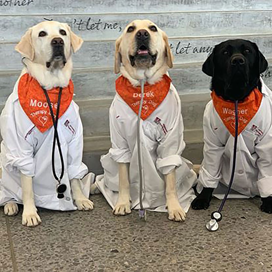 Moose and fellow Virginia Tech therapy dogs Derek and Wagner.