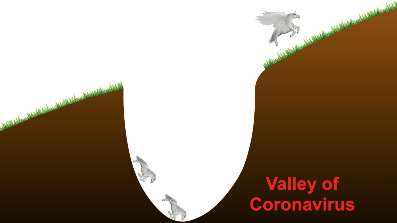 SoftBank CEO Masayoshi Son said some $1 billion tech unicorns will fly over the "valley of coronavirus."