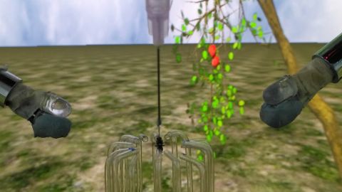A tethered apple fly responds to airflows and odors in a virtual reality arena created by scientists based in Bangalore, India.