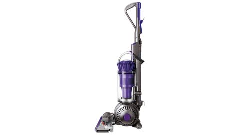 Dyson Ball Animal 2