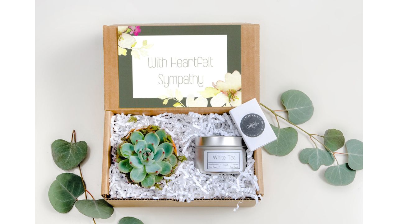 Live Succulent Gift Box