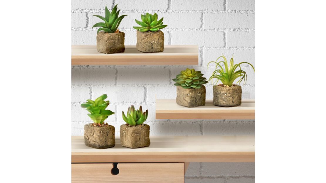 Union Rustic 6 Artificial Agave Succulent in Pot Set