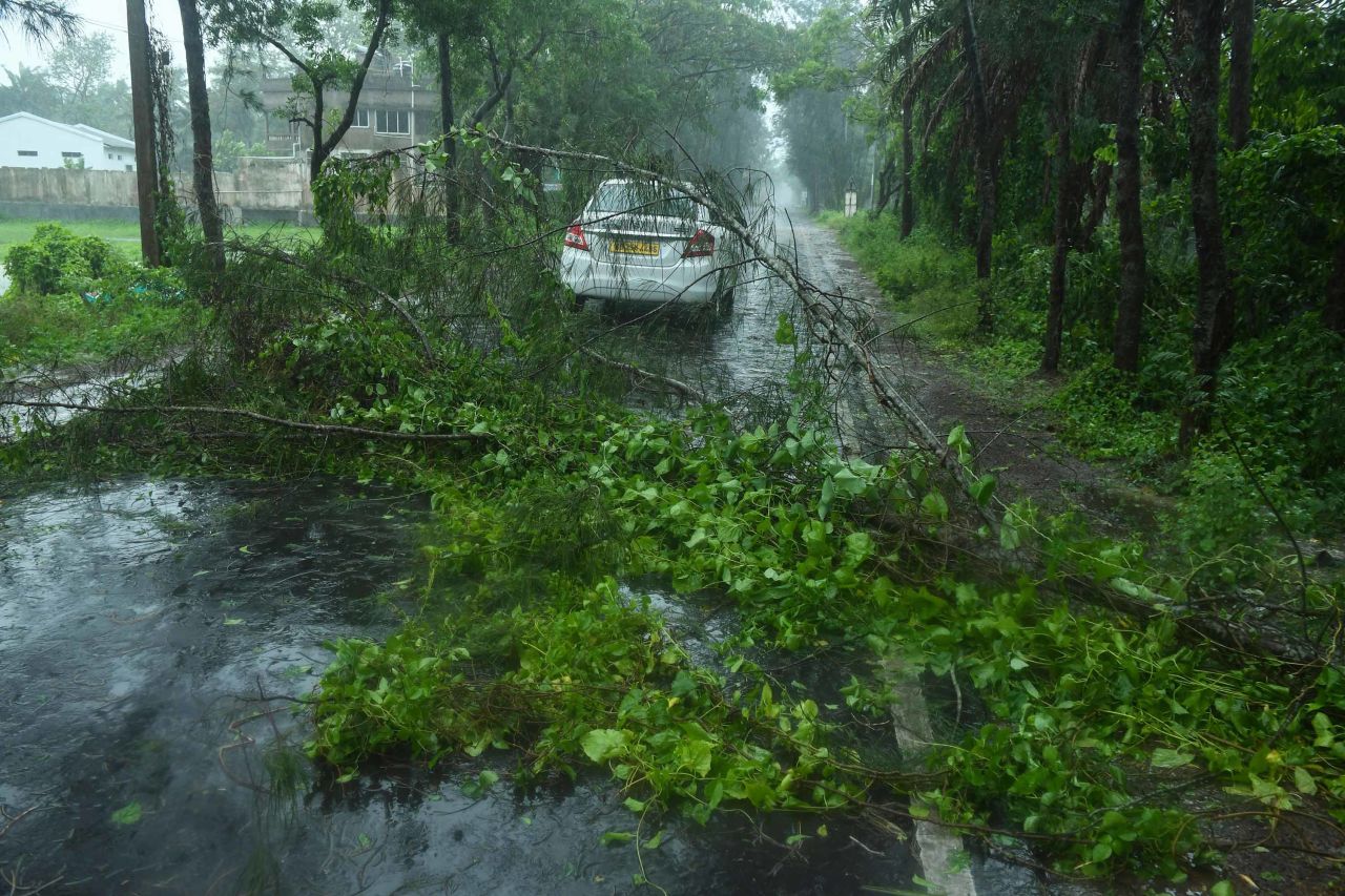 A car navigates through fallen tree branches in Digha, India.