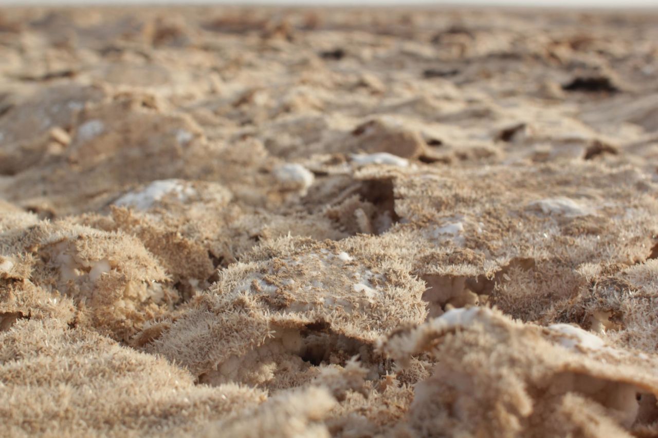 A close up of a sabkha flat in the UAE. The flats contain microbes and are "a living environment [that] actually absorbs CO2," according to architect Wael Al Awar. 