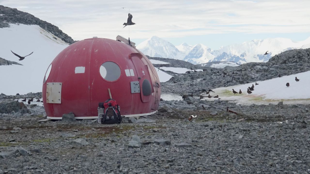 Survival pod on Anchorage Island, Antarctica, 2018.