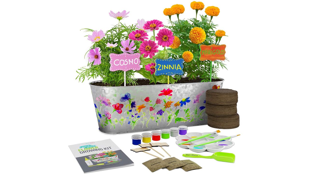 Dan&Darci Paint & Plant Flower Growing Kit