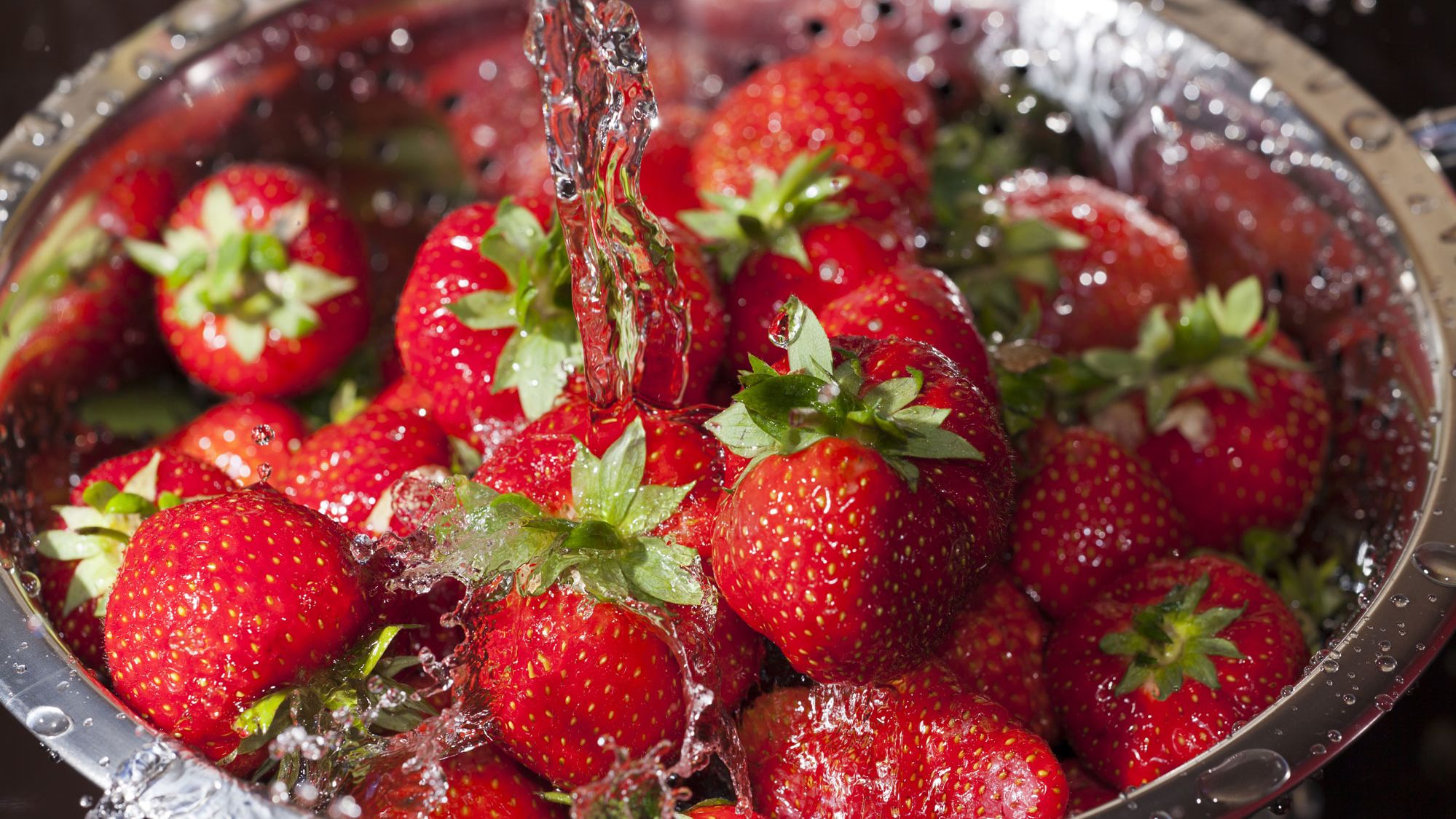 strawberries salt water bugs trnd