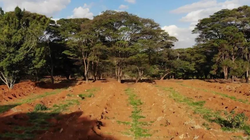 drone shot mass grave brazil