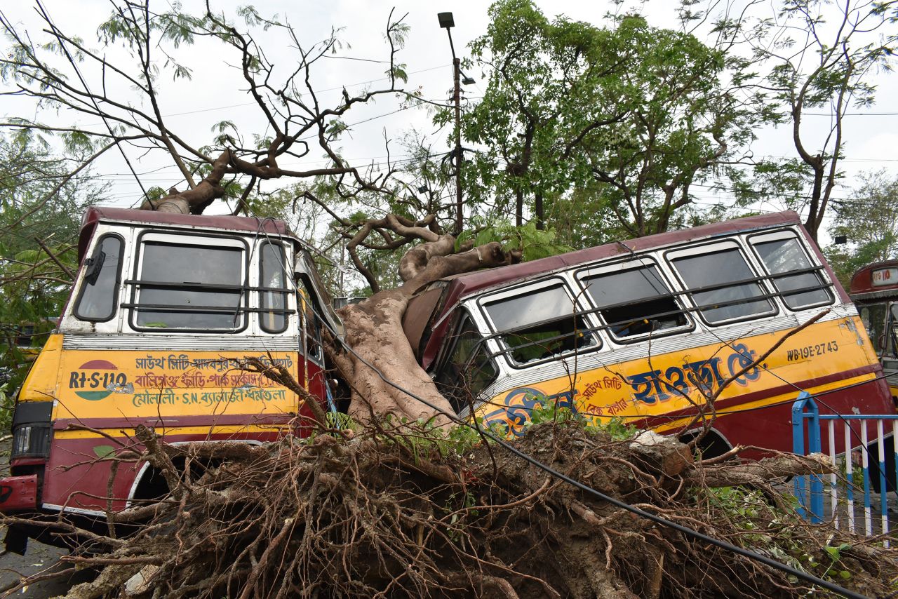 A bus is crushed by a tree in Kolkata, India, on May 22.