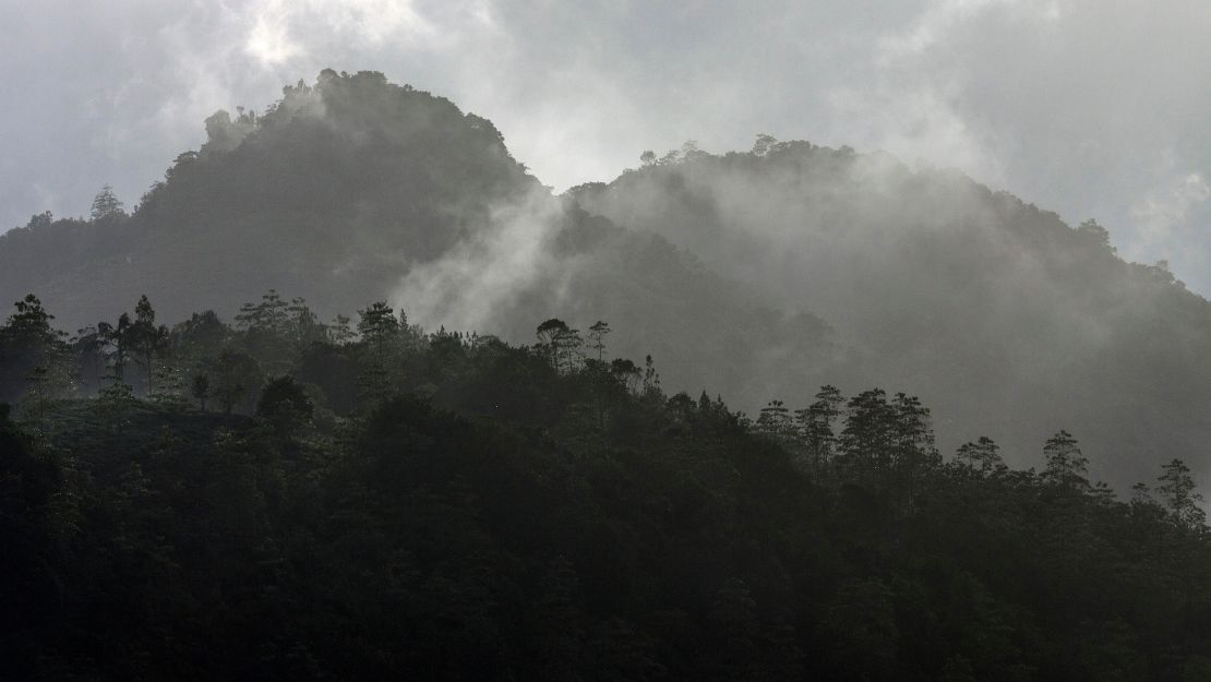 Sinharaja Forest Reserve in Sri Lanka is an undisturbed swath of rainforest.