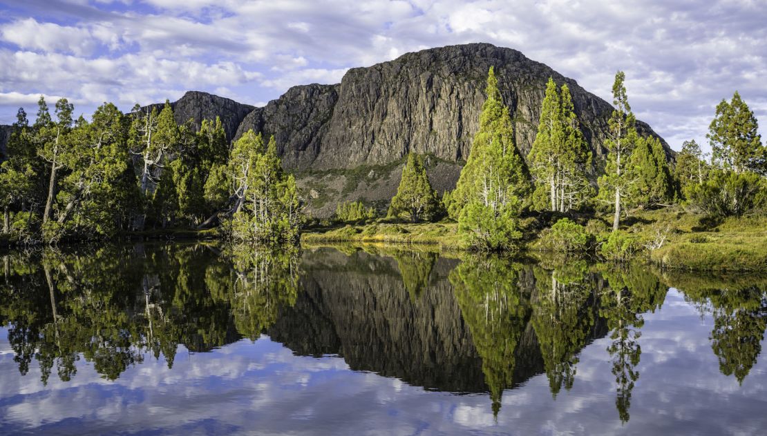 The Tasmanian Wilderness World Heritage Area is filled with unique alpine vegetation.