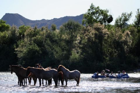People watch wild horses on the Salt River in Mesa, Arizona, on Sunday.