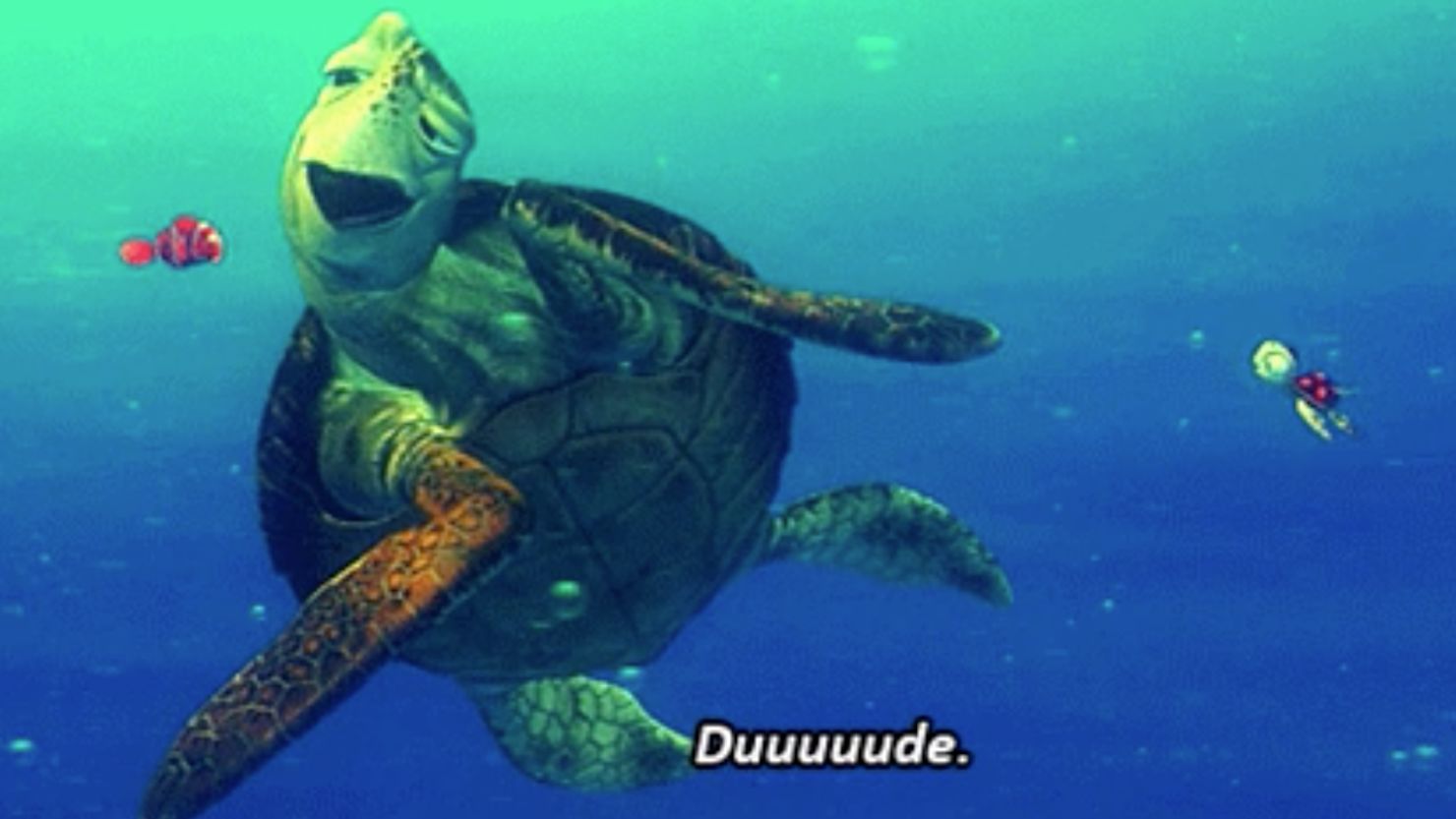The sea turtle Crush in "Finding Nemo" spoke like a surfer dude, elongating his words. Thanks to social media, scientists have been studying usage of stretched words.