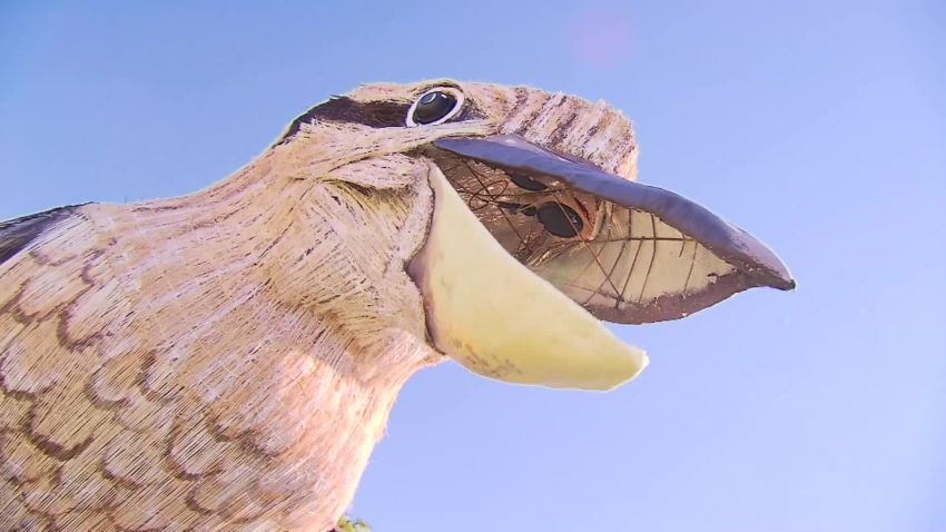 03 Australian artist giant kookaburra