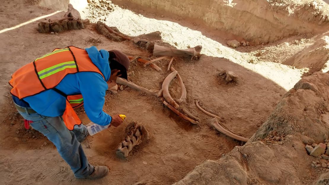 An archaeologist works to uncover mammoth bones found near an airport construction site outside Mexico City.