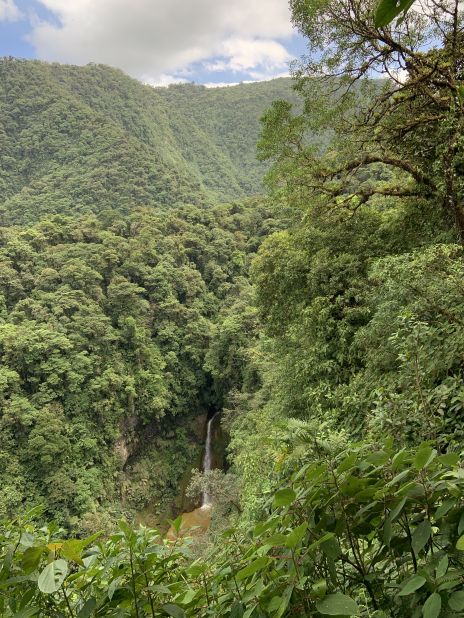 Forest, Water, and Struggle: Environmental Movements in Costa Rica