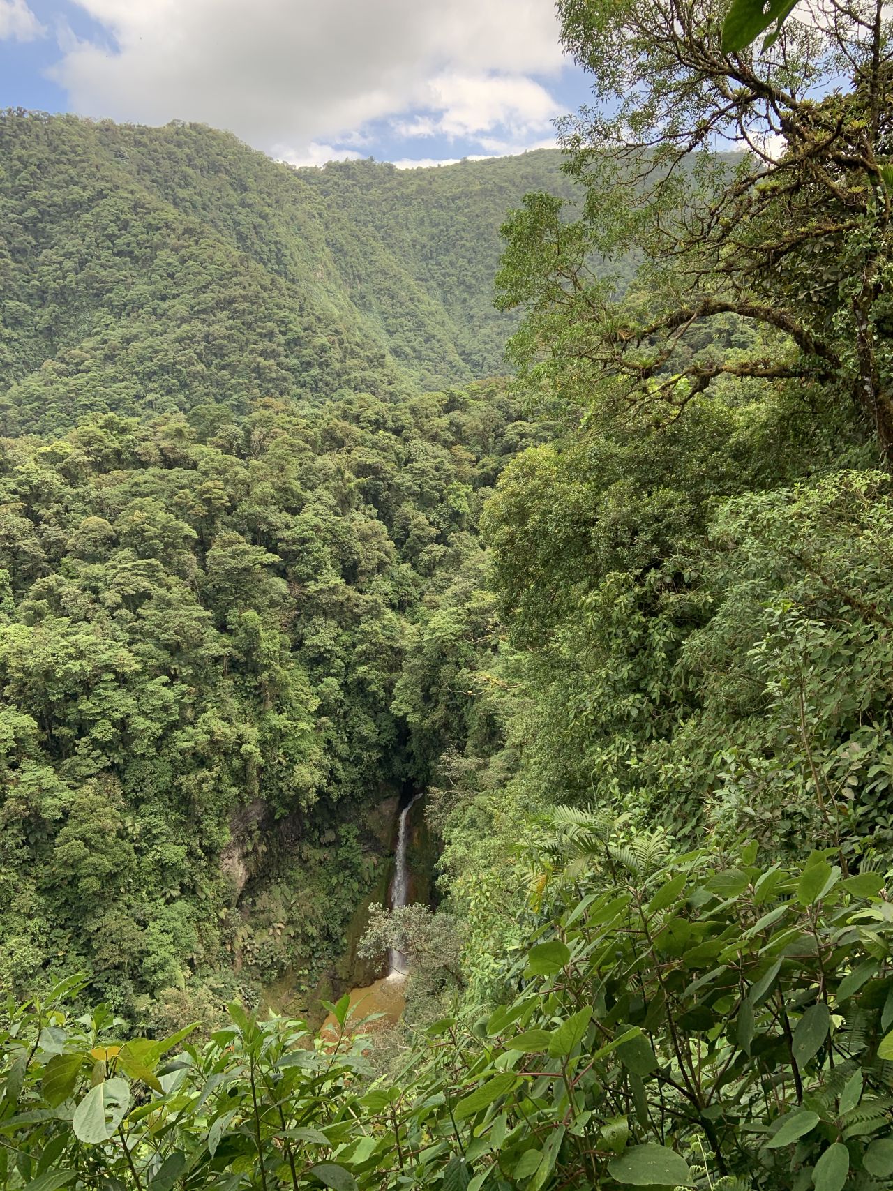 Across the rest of the tropics primary forest is being destroyed at a <a href="https://edition.cnn.com/2020/06/02/world/tropical-forest-six-seconds-scli-intl/index.html" target="_blank">terrifying rate</a>, but in Costa Rica, old, original forest makes up around <a href="http://www.fao.org/3/a-i1757e.pdf" target="_blank" target="_blank">a quarter</a> of its forested area. 