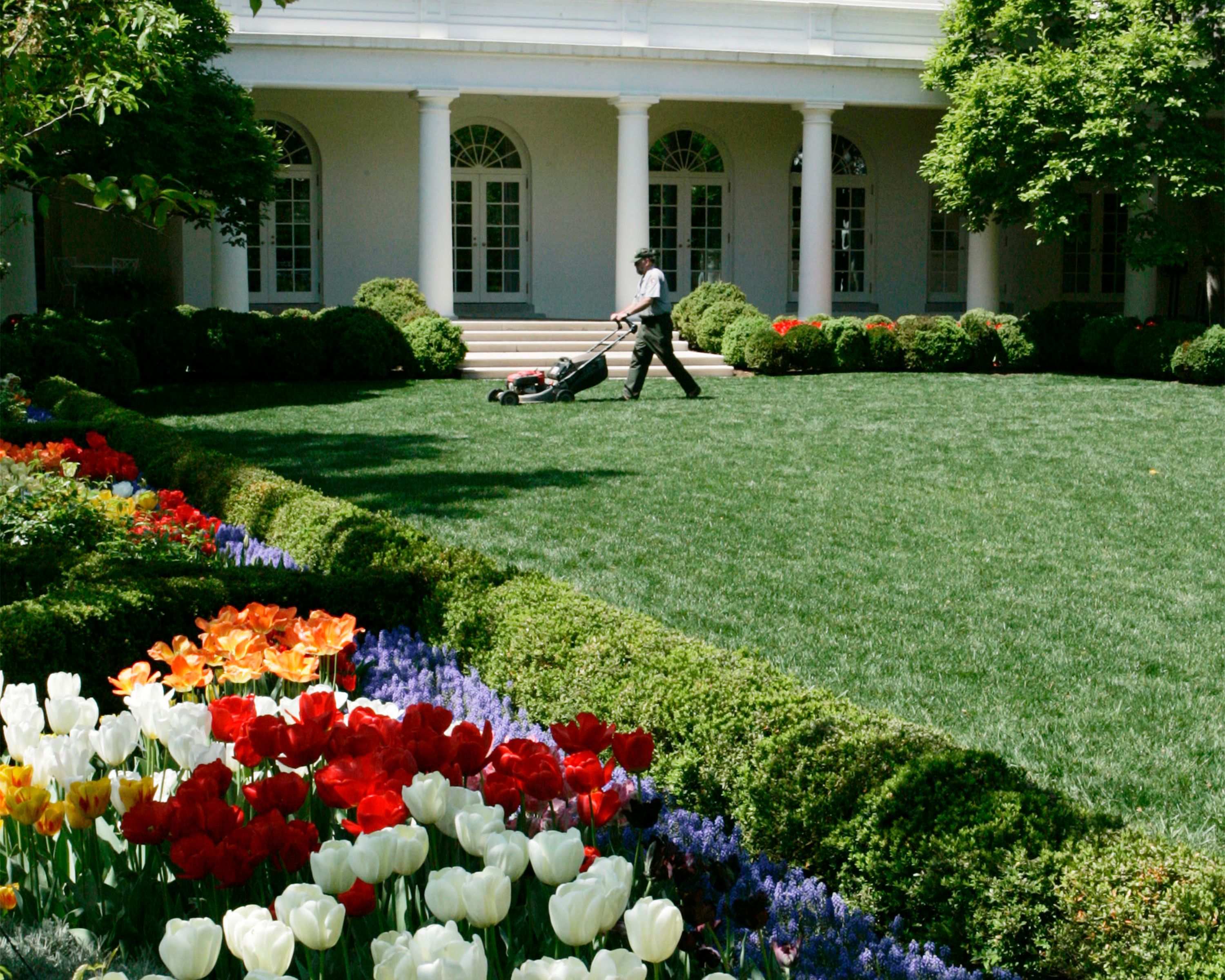 A White House groundskeeper mows the lawn outside the Oval Office in the fully-bloomed Rose Garden of the White House in Washington, DC, in April 2006.