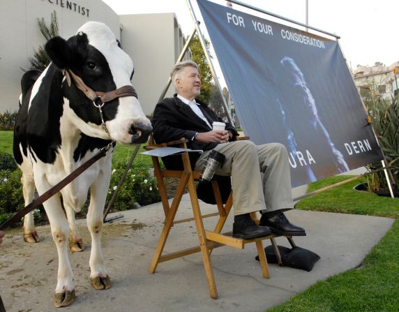 Lynch sits next to a cow in Los Angeles as he promotes "Inland Empire" star Dern for awards season in 2006.