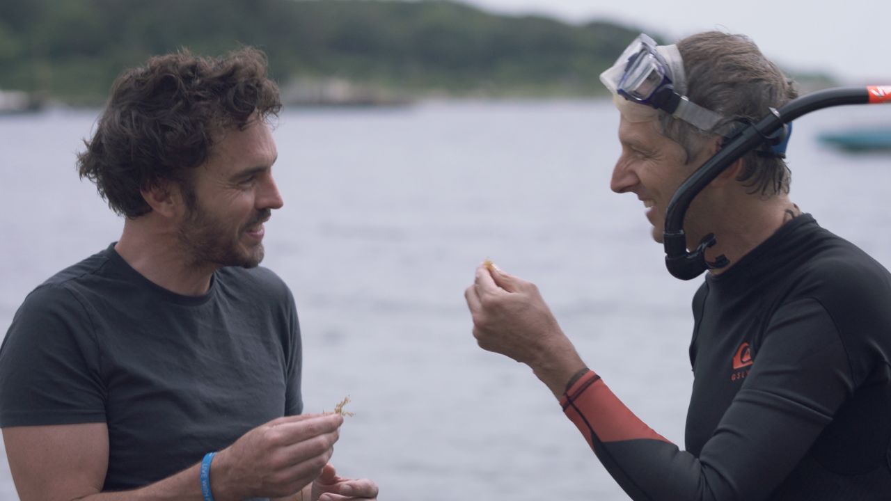 #39 Dear #39 and #39 2040 #39 review: An Apple TV  series and Australian