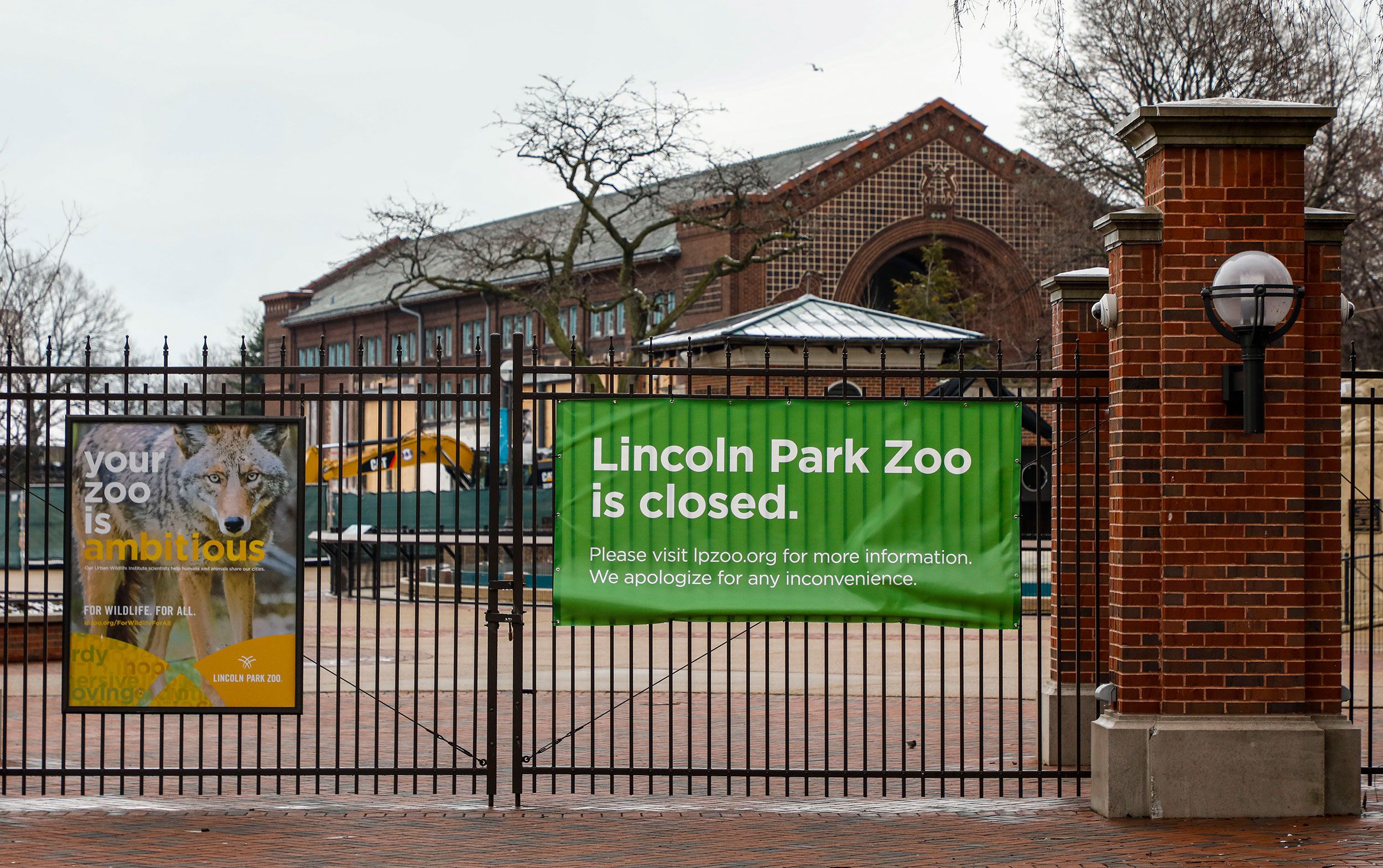 can you take dogs to lincoln park zoo